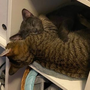 Meet your Posher, Adriana